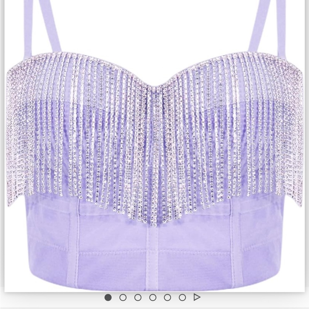 Rhinestone Fringe Purple Bra Corset Top in size Large. NWOT!